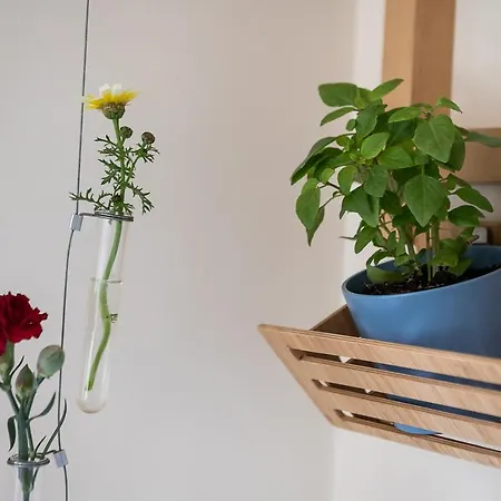 Eos Apartment *
